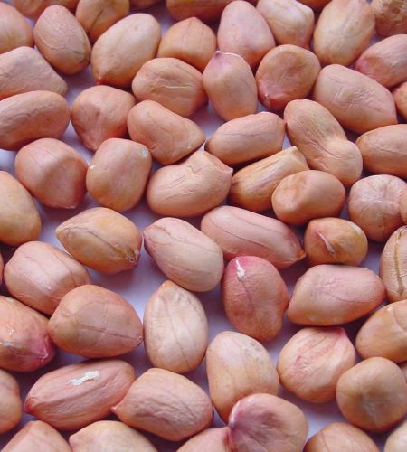 maní (8)